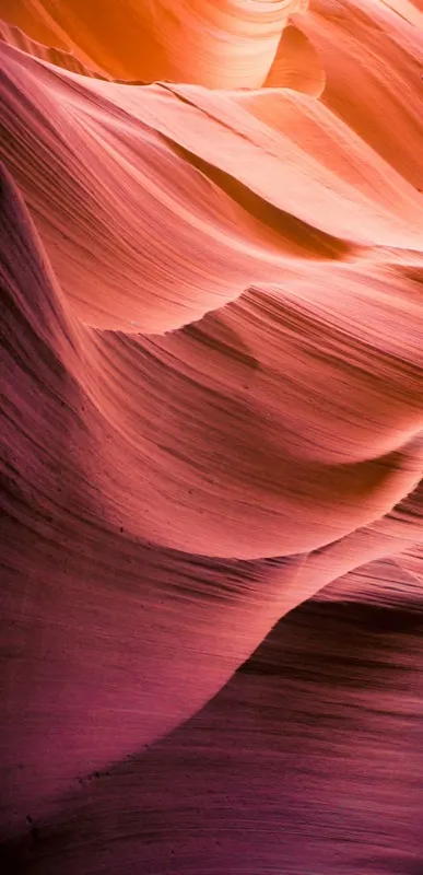 Curved sandstone canyon walls in warm light