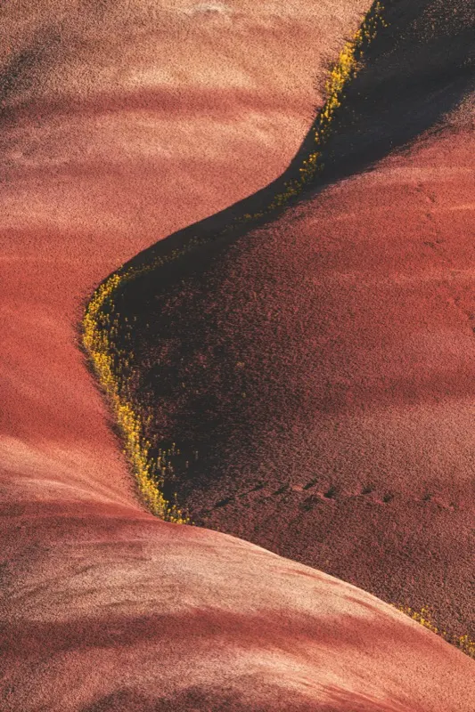 Rose-coloured hills seen from directly overhead